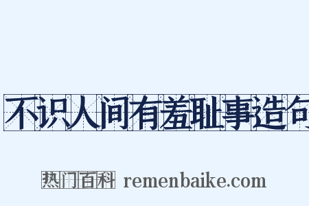 不识人间有羞耻事造句是什么意思的图片